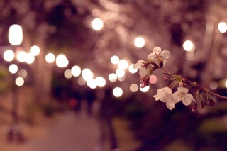 写真 2019-03-31 22 09 42.jpg