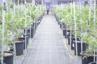 写真 2019-06-23 11 53 14.jpg
