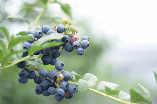 写真 2019-06-23 11 54 30.jpg