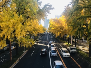 写真 2019-11-30 14 21 27.jpg